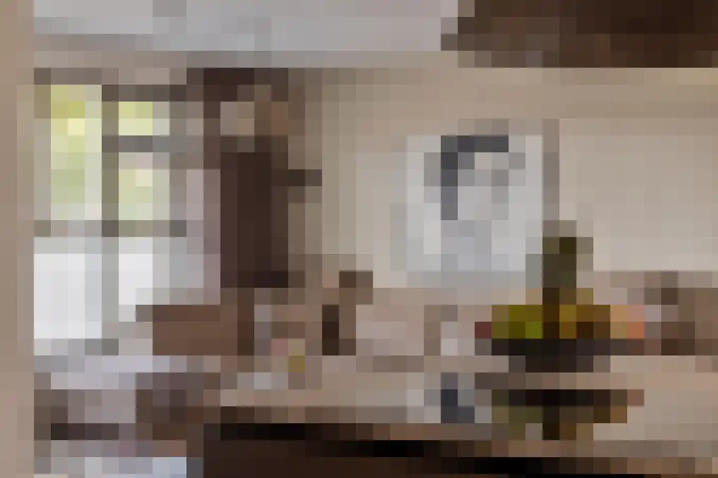 Van Loëstraat 35 Gemert thumbnail 14