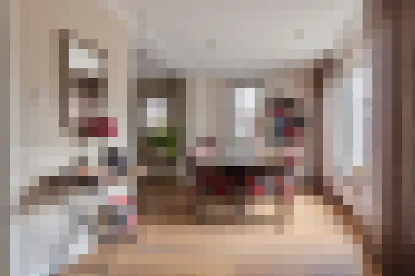 Van Loëstraat 35 Gemert thumbnail 18