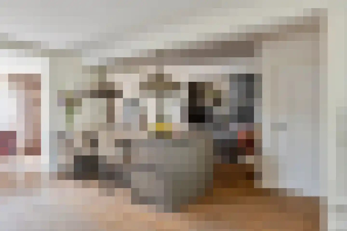Van Loëstraat 35 Gemert thumbnail 19