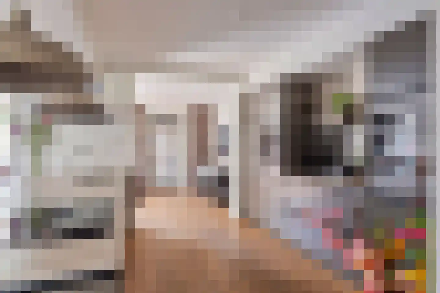 Van Loëstraat 35 Gemert thumbnail 20