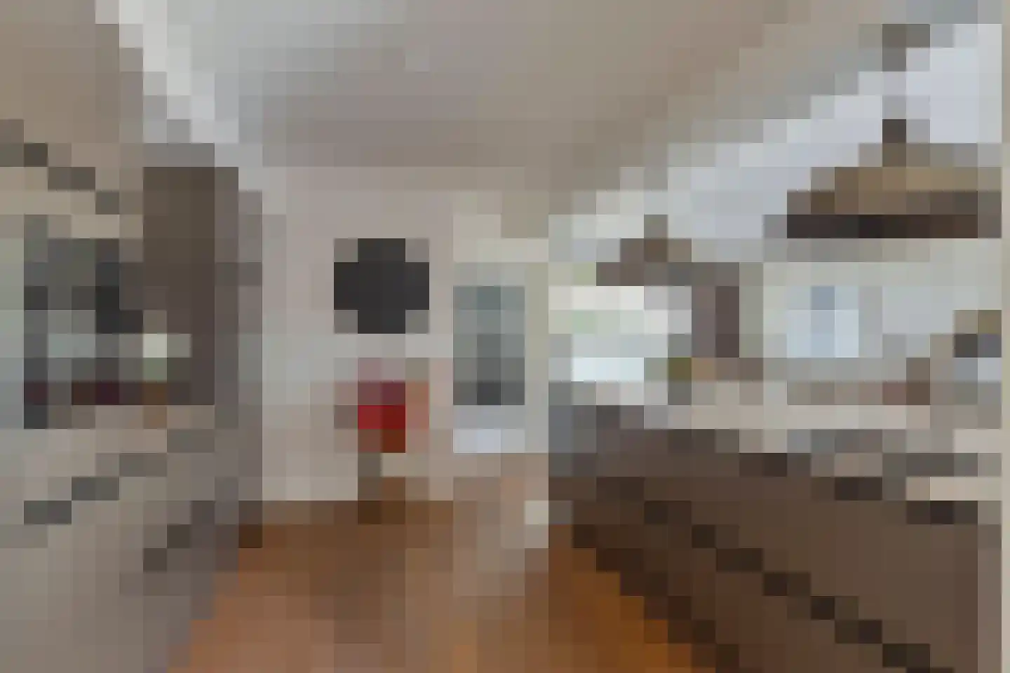 Van Loëstraat 35 Gemert thumbnail 22