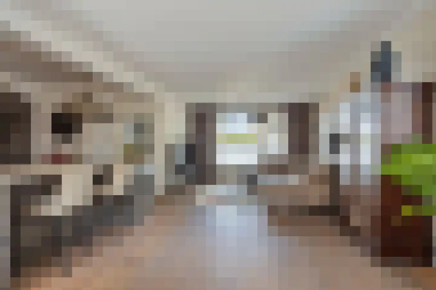 Van Loëstraat 35 Gemert thumbnail 23