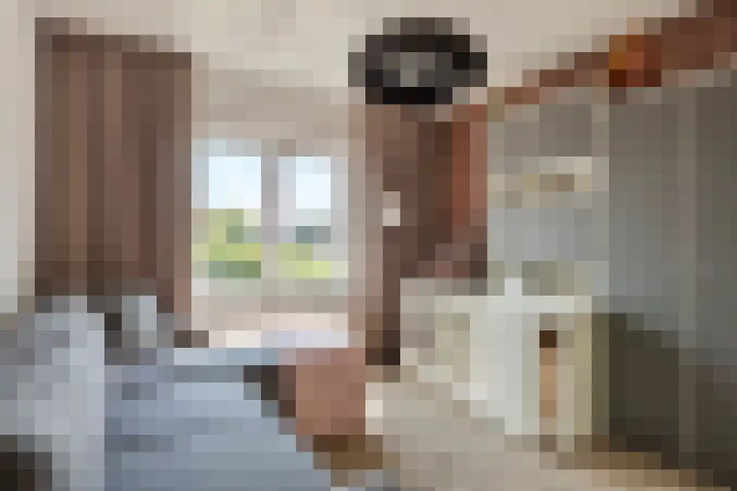 Van Loëstraat 35 Gemert thumbnail 31