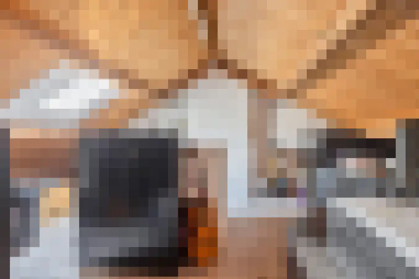 Van Loëstraat 35 Gemert thumbnail 35