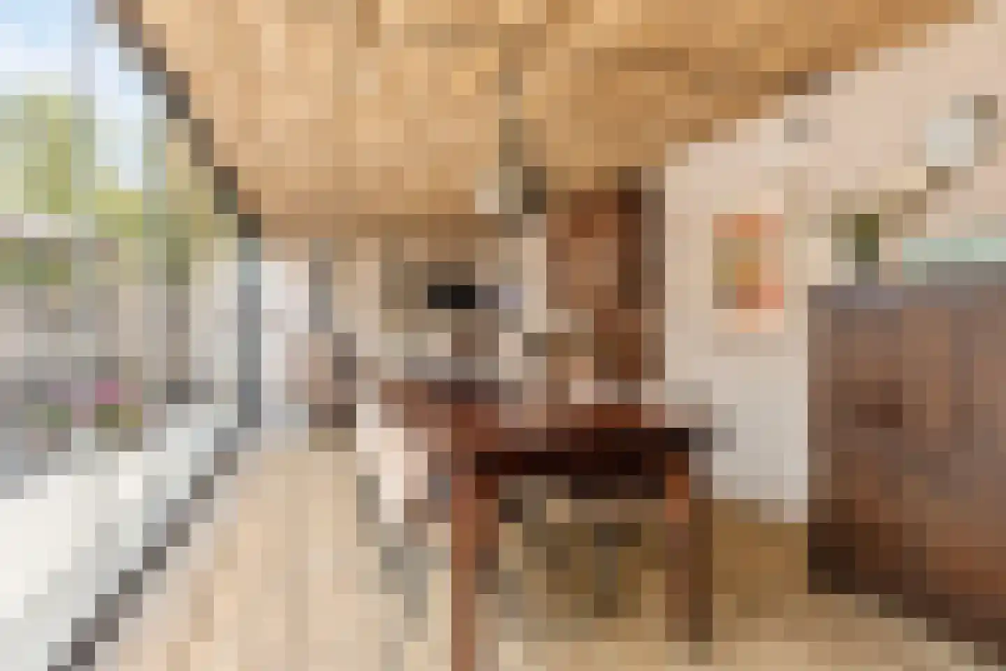 Van Loëstraat 35 Gemert thumbnail 36