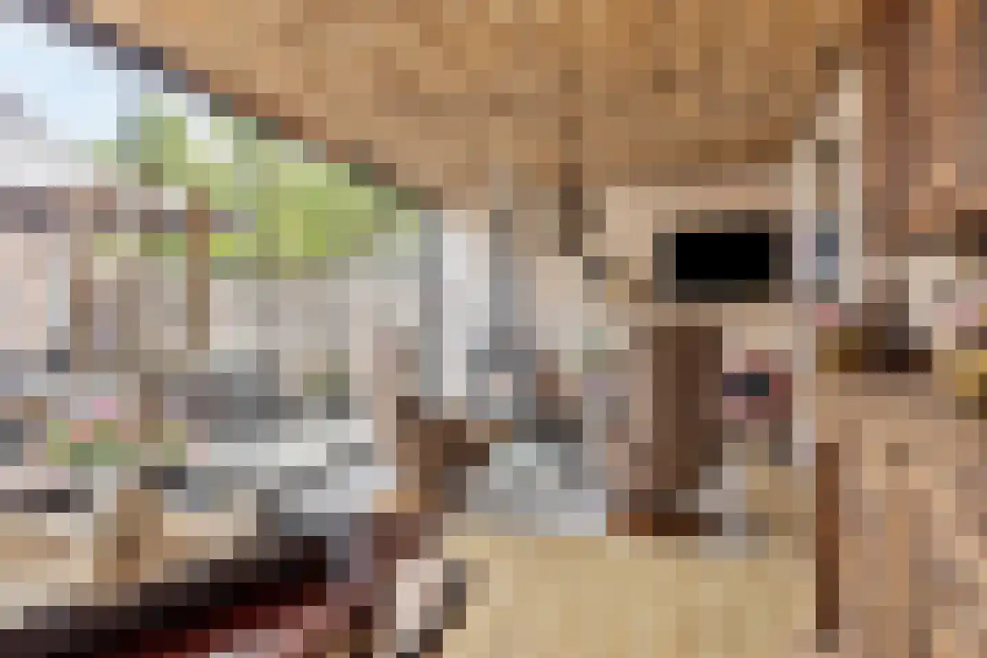 Van Loëstraat 35 Gemert thumbnail 37