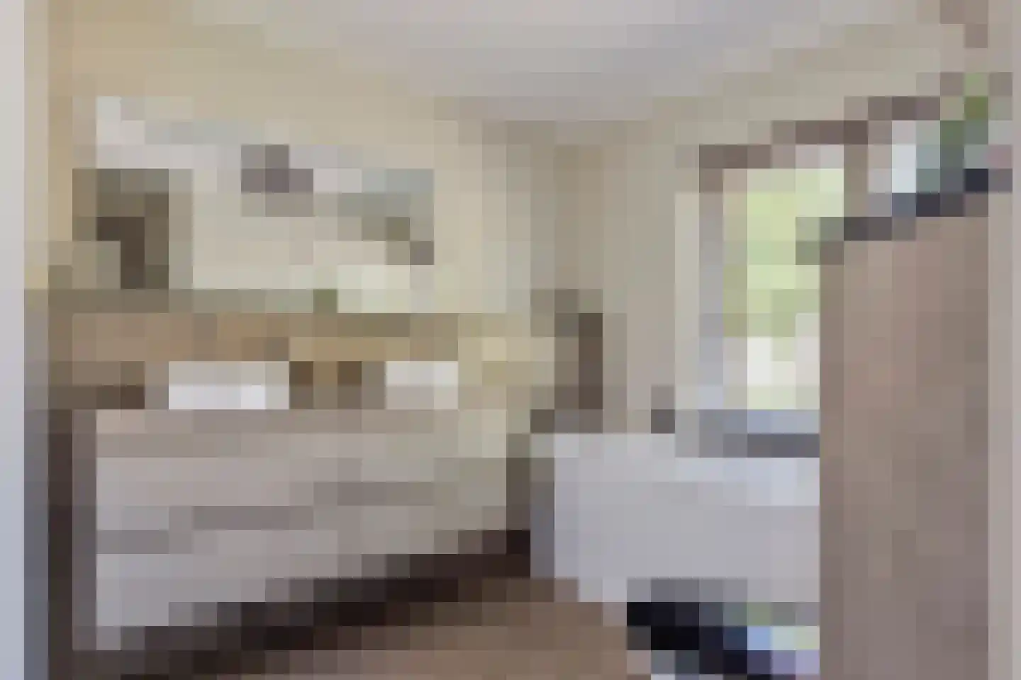 Van Loëstraat 35 Gemert thumbnail 4