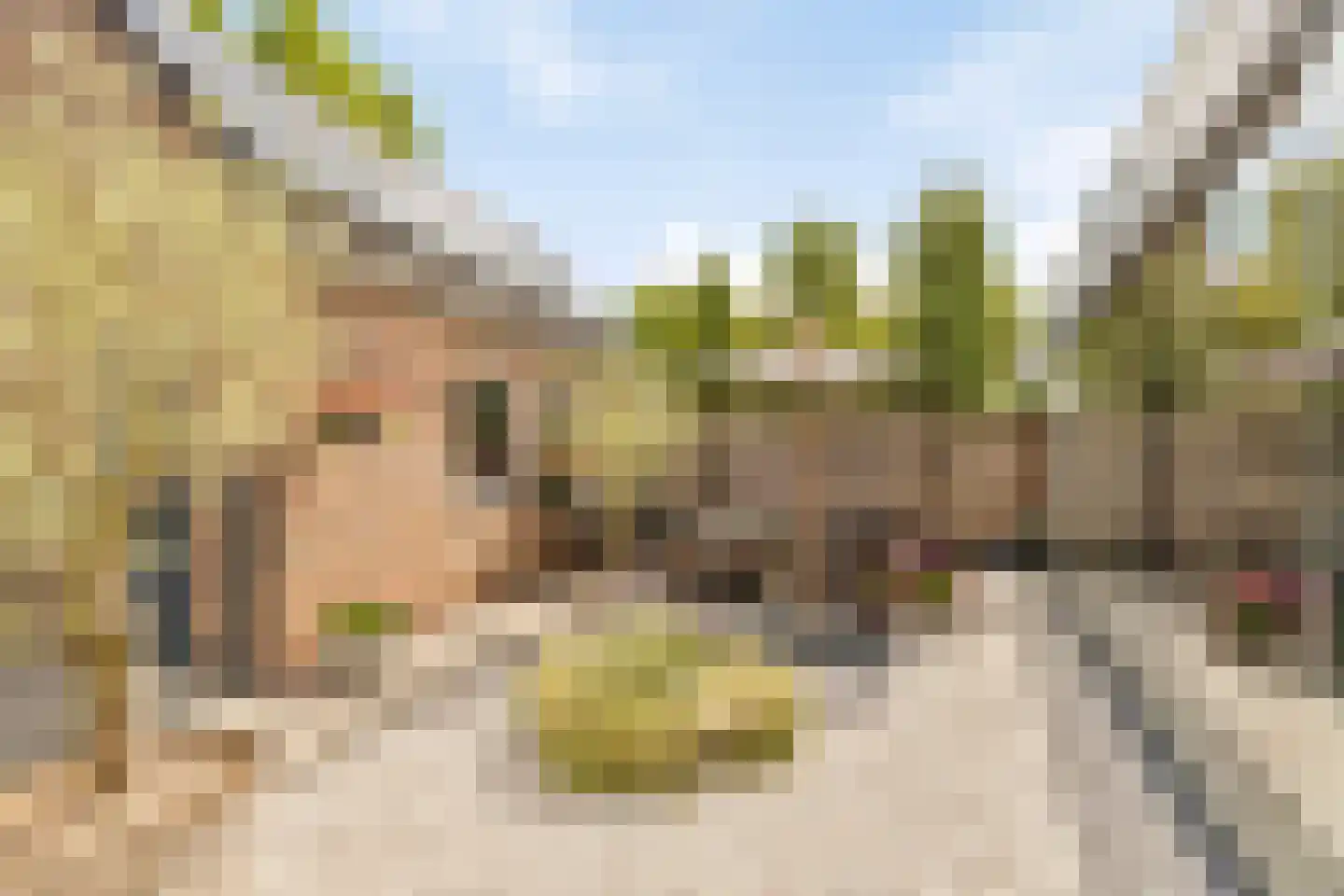 Van Loëstraat 35 Gemert thumbnail 42