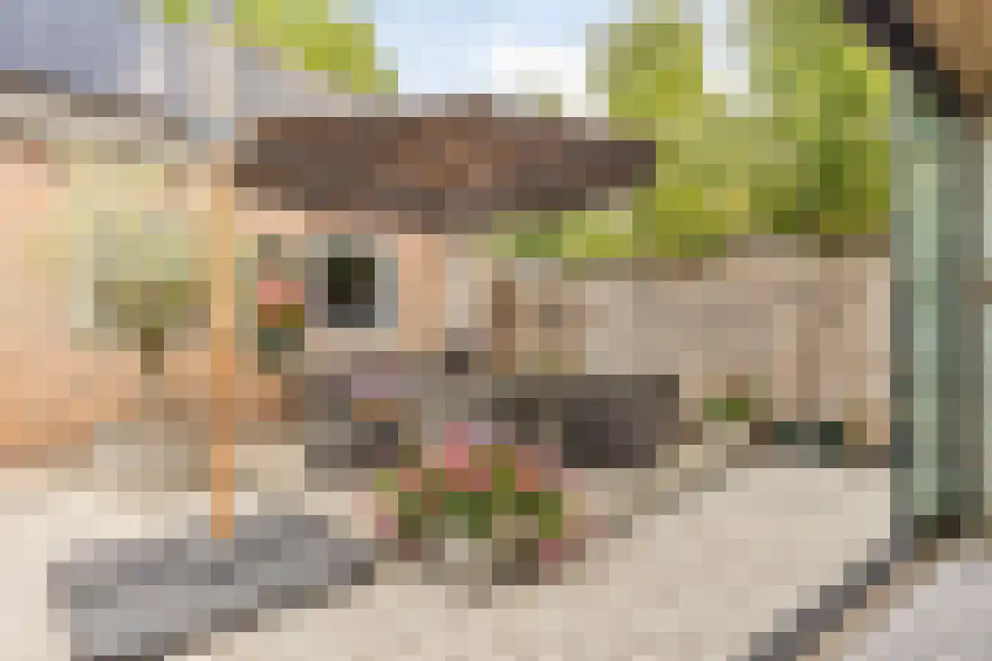 Van Loëstraat 35 Gemert thumbnail 44
