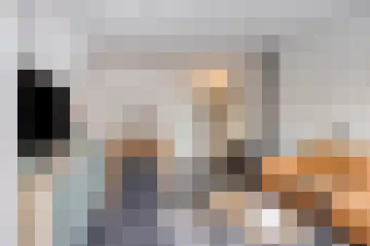 Van Loëstraat 8 Gemert thumbnail 11