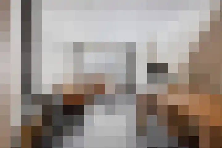 Van Loëstraat 8 Gemert thumbnail 12