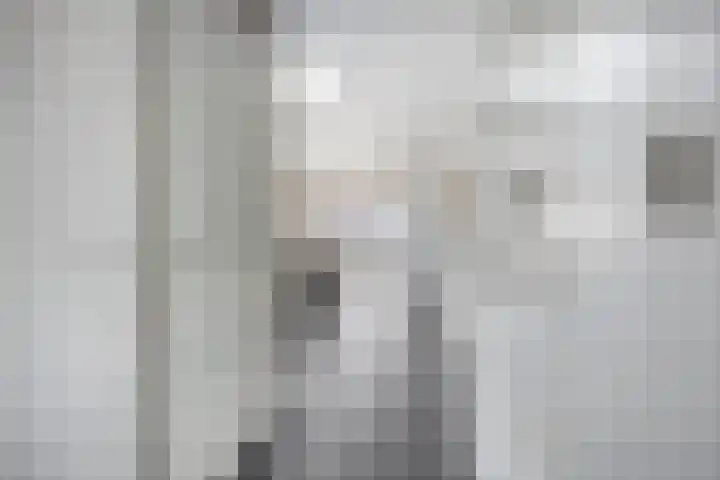 Van Loëstraat 8 Gemert thumbnail 15