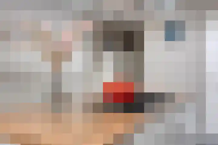 Van Loëstraat 8 Gemert thumbnail 18