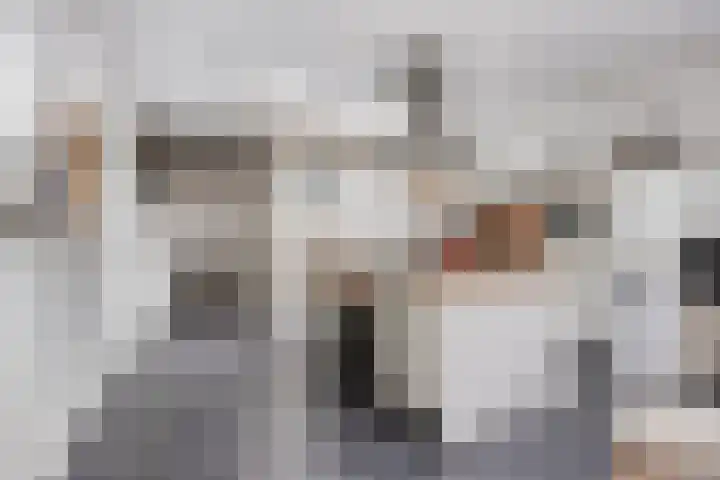 Van Loëstraat 8 Gemert thumbnail 21