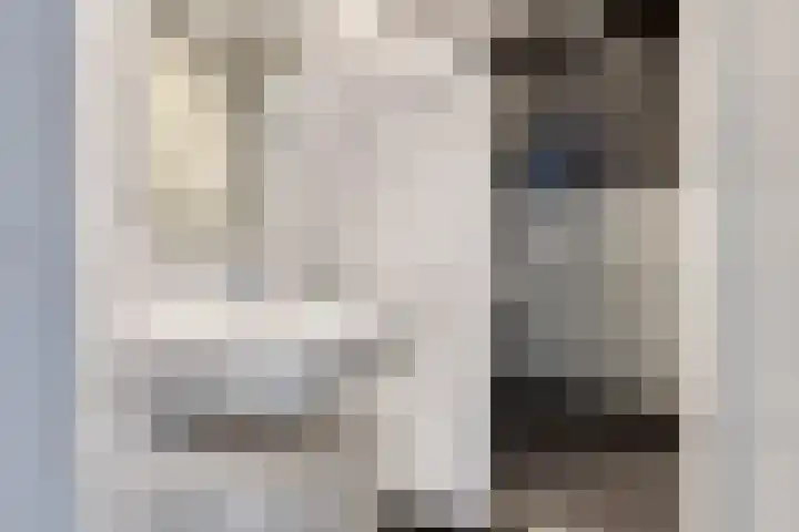 Van Loëstraat 8 Gemert thumbnail 31