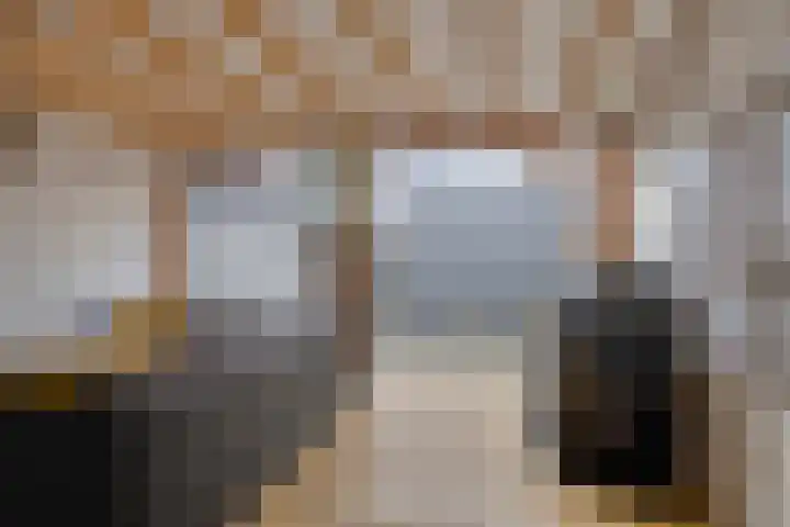 Van Loëstraat 8 Gemert thumbnail 33