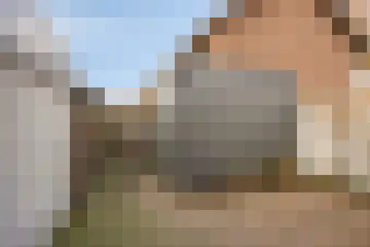 Van Loëstraat 8 Gemert thumbnail 35
