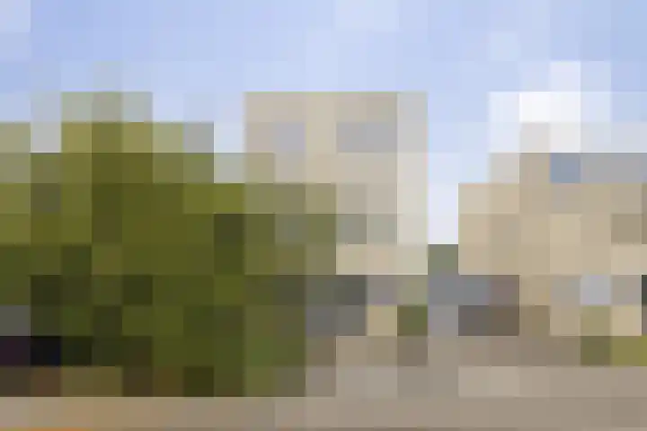 Van Loghemstraat 48 Groningen thumbnail 5