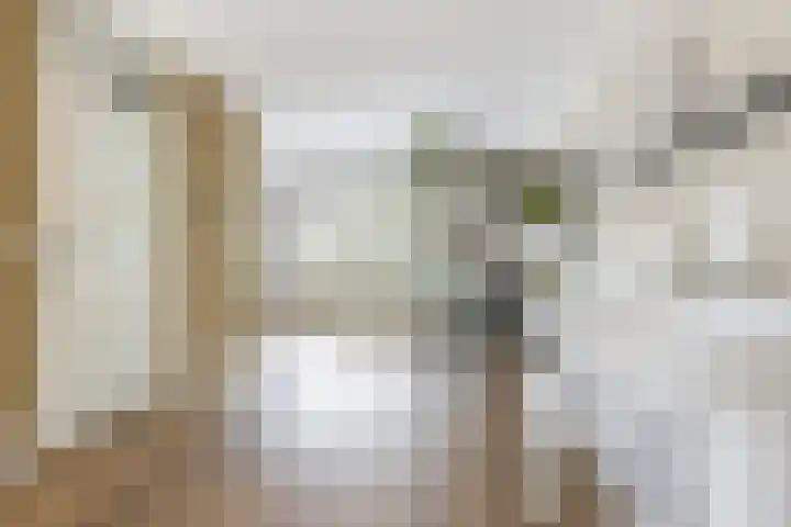 Van Loghemstraat 48 Groningen thumbnail 9