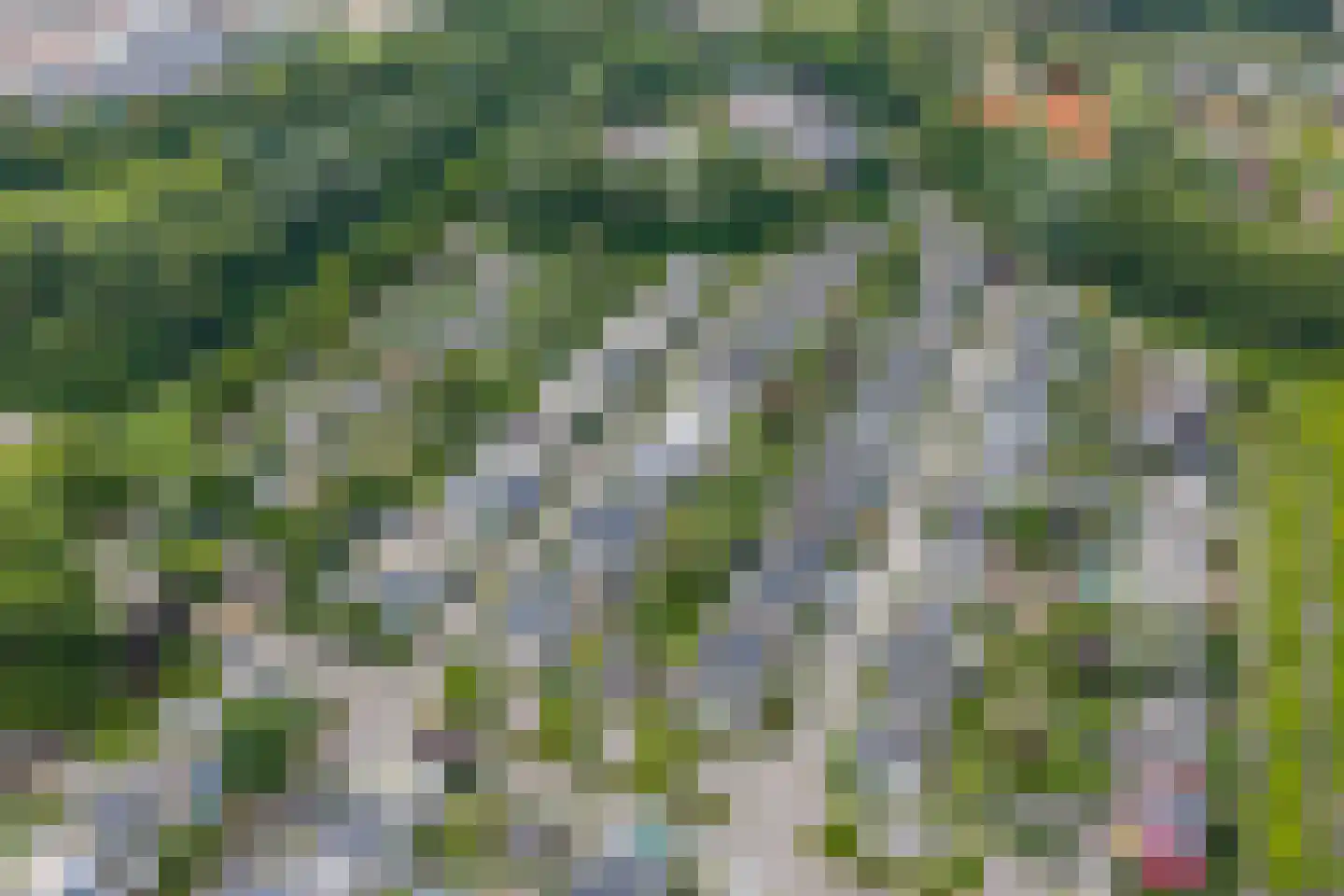 Van Loghemstraat 49 Groningen thumbnail 34