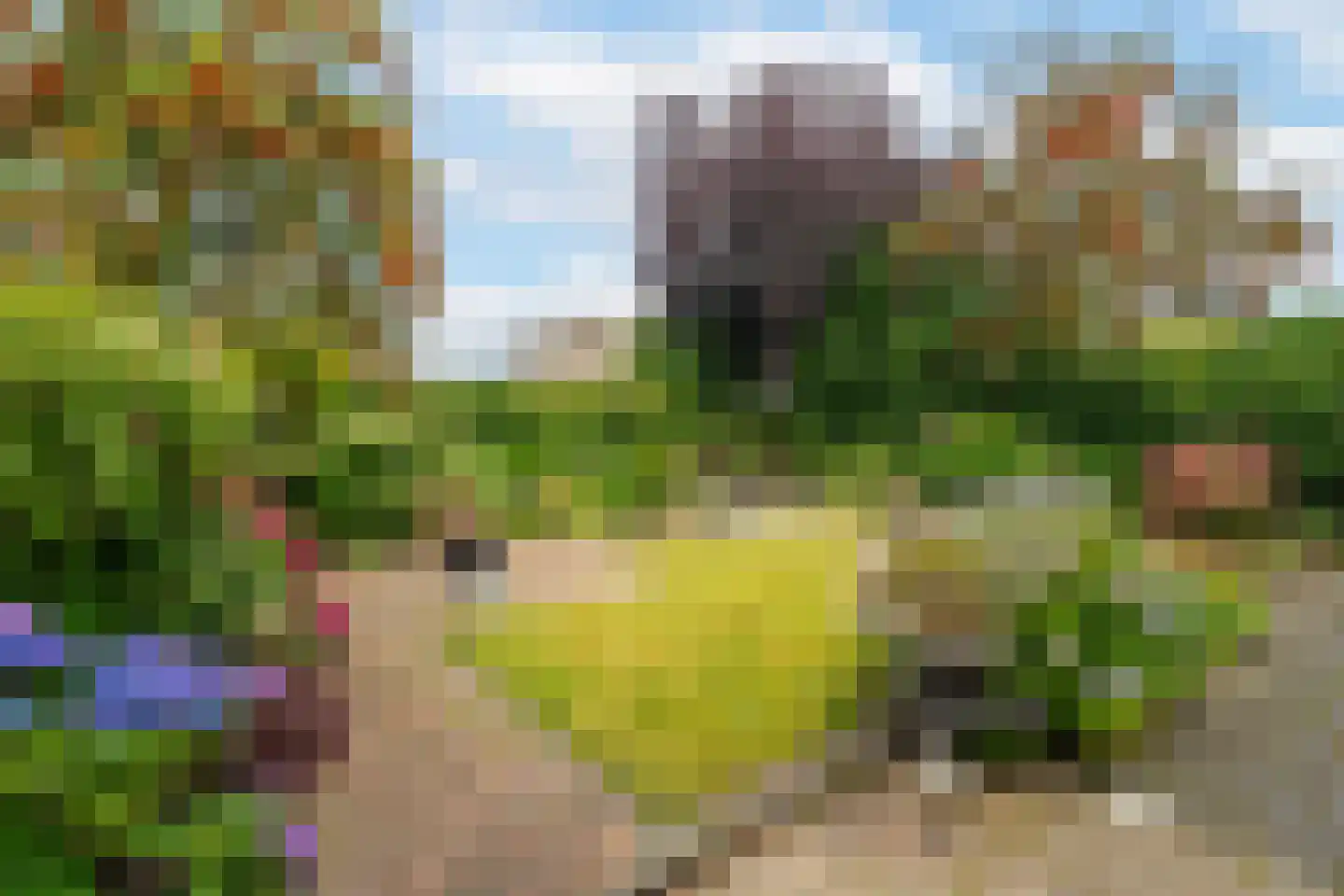 Van Loghemstraat 49 Groningen thumbnail 5