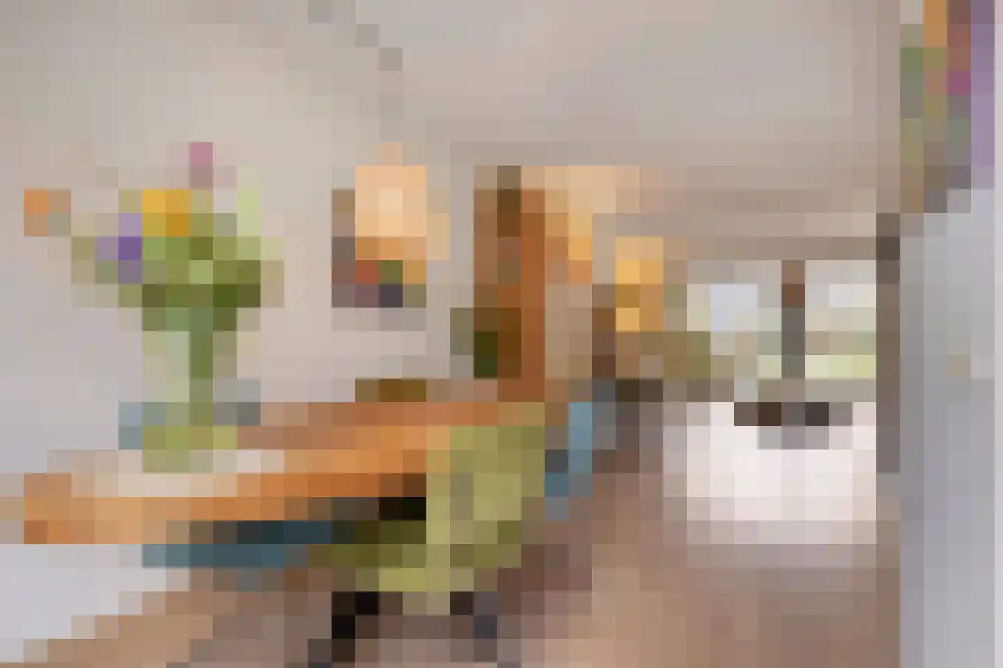 Van Loghemstraat 60 Groningen thumbnail 18