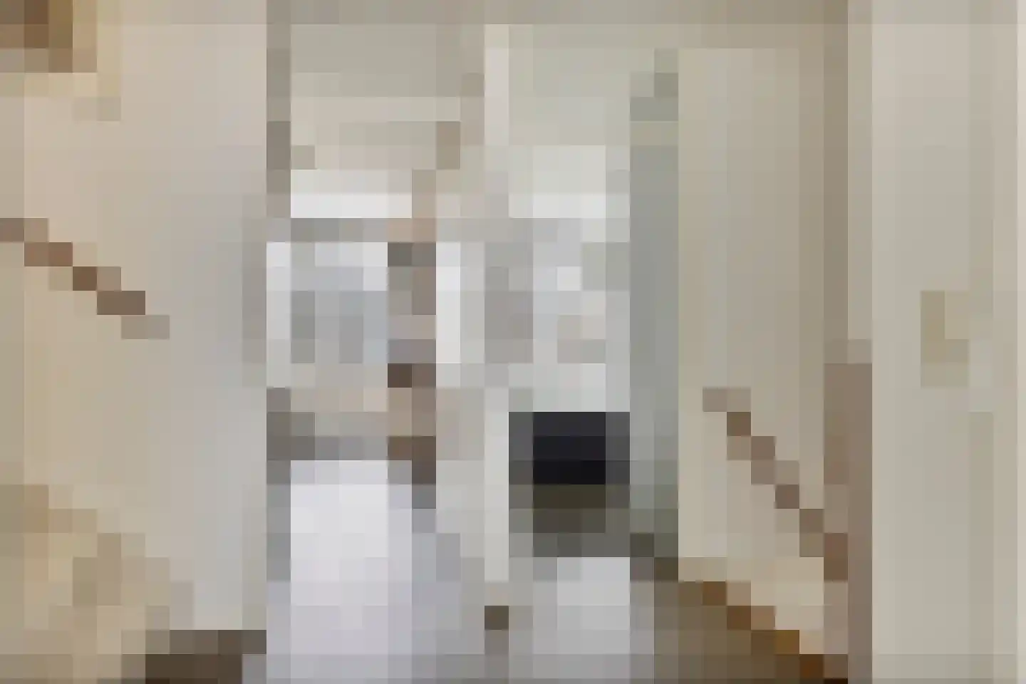 Van Loghemstraat 60 Groningen thumbnail 24