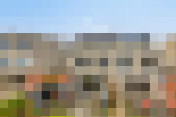 Van Loghemstraat 60 Groningen thumbnail 48