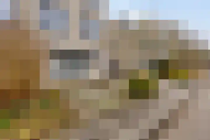 Van Loghemstraat 60 Groningen thumbnail 7