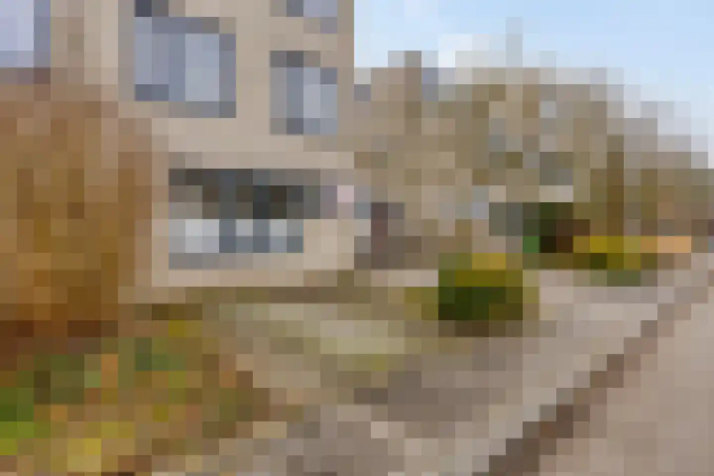 Van Loghemstraat 60 Groningen thumbnail 7