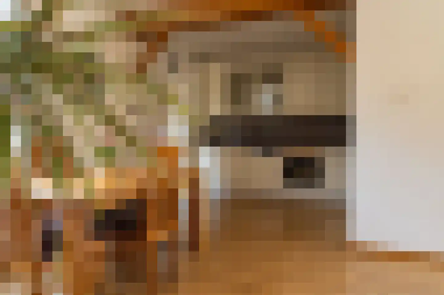 van Lommstraat 13 Maasbree thumbnail 13