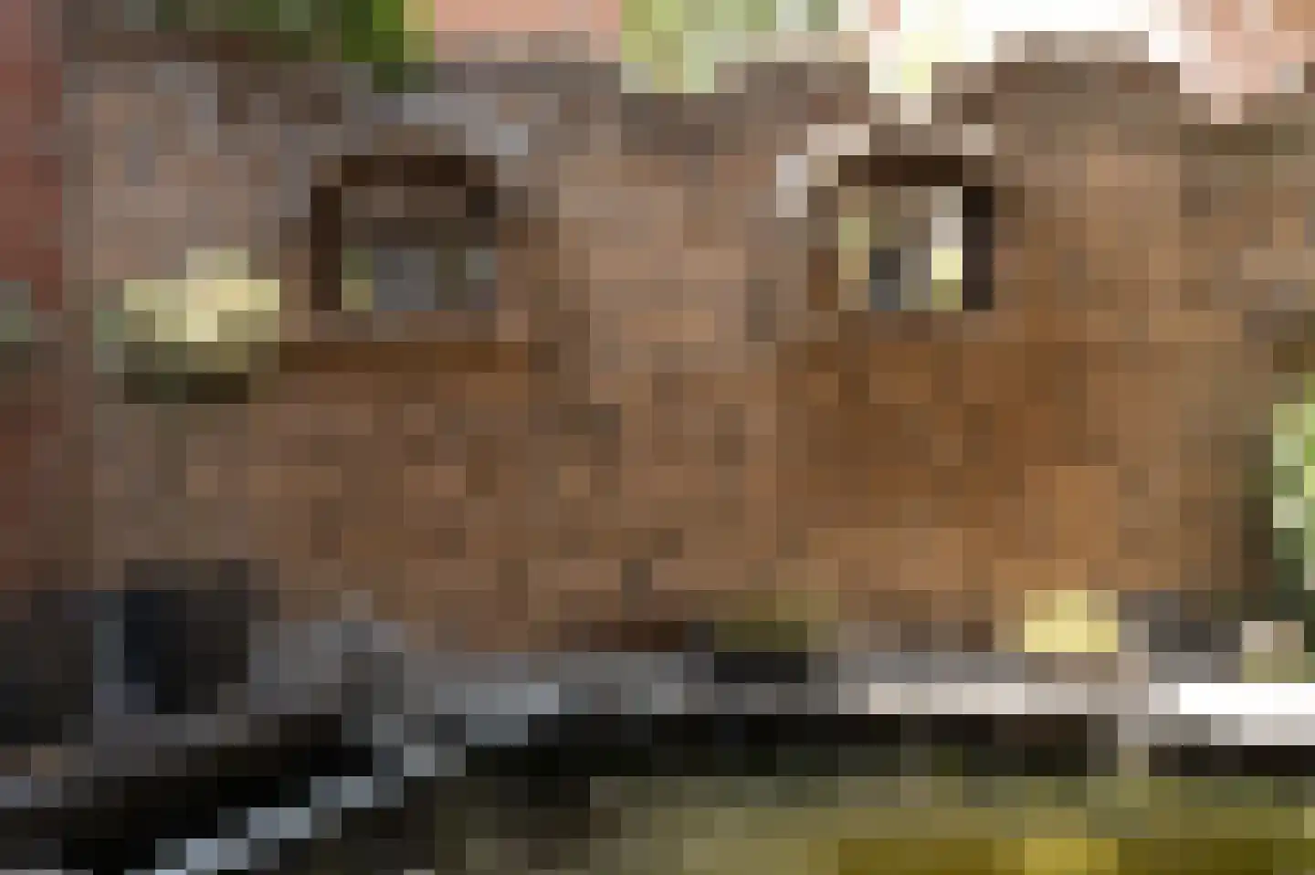 van Lommstraat 13 Maasbree thumbnail 24