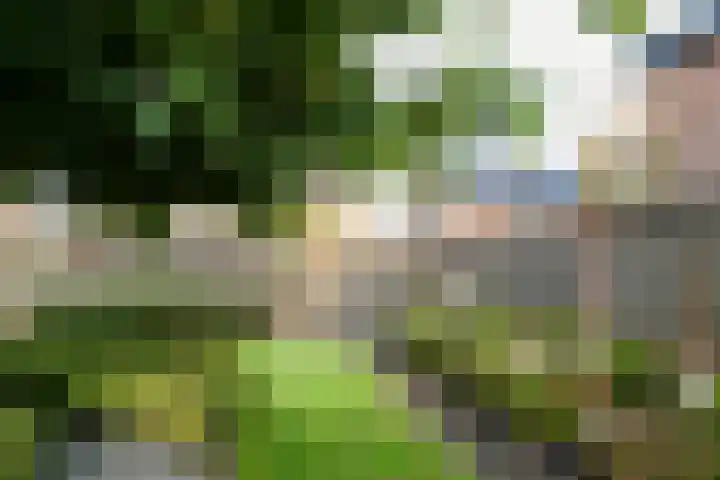 van Lommstraat 2 Maasbree thumbnail 25