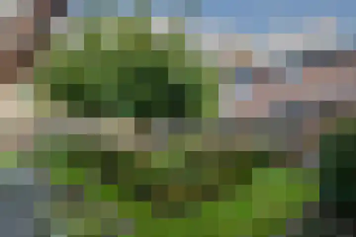 van Lommstraat 2 Maasbree thumbnail 27