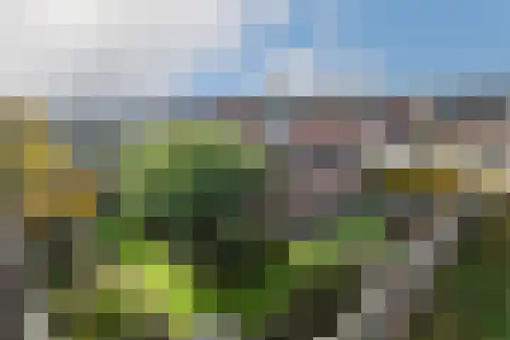 van Lommstraat 2 Maasbree thumbnail 30