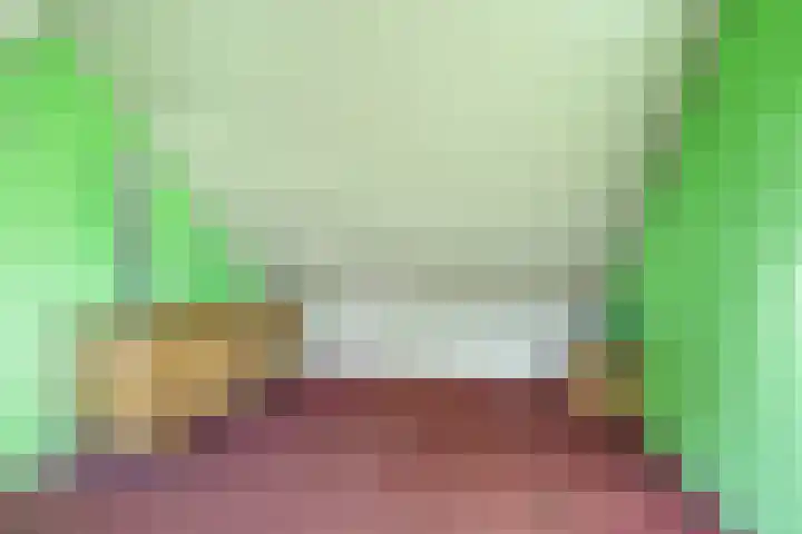 van Lommstraat 9 Maasbree thumbnail 29