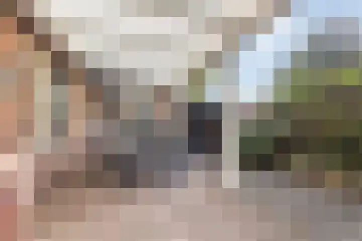 van Lommstraat 9 Maasbree thumbnail 31