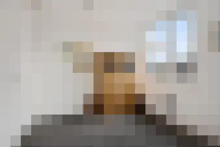 van Loonstraat 1 C St.-Annaparochie thumbnail 25