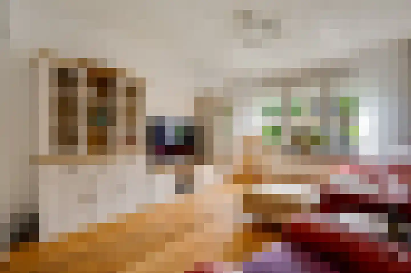 van Loonstraat 10 Haelen thumbnail 10