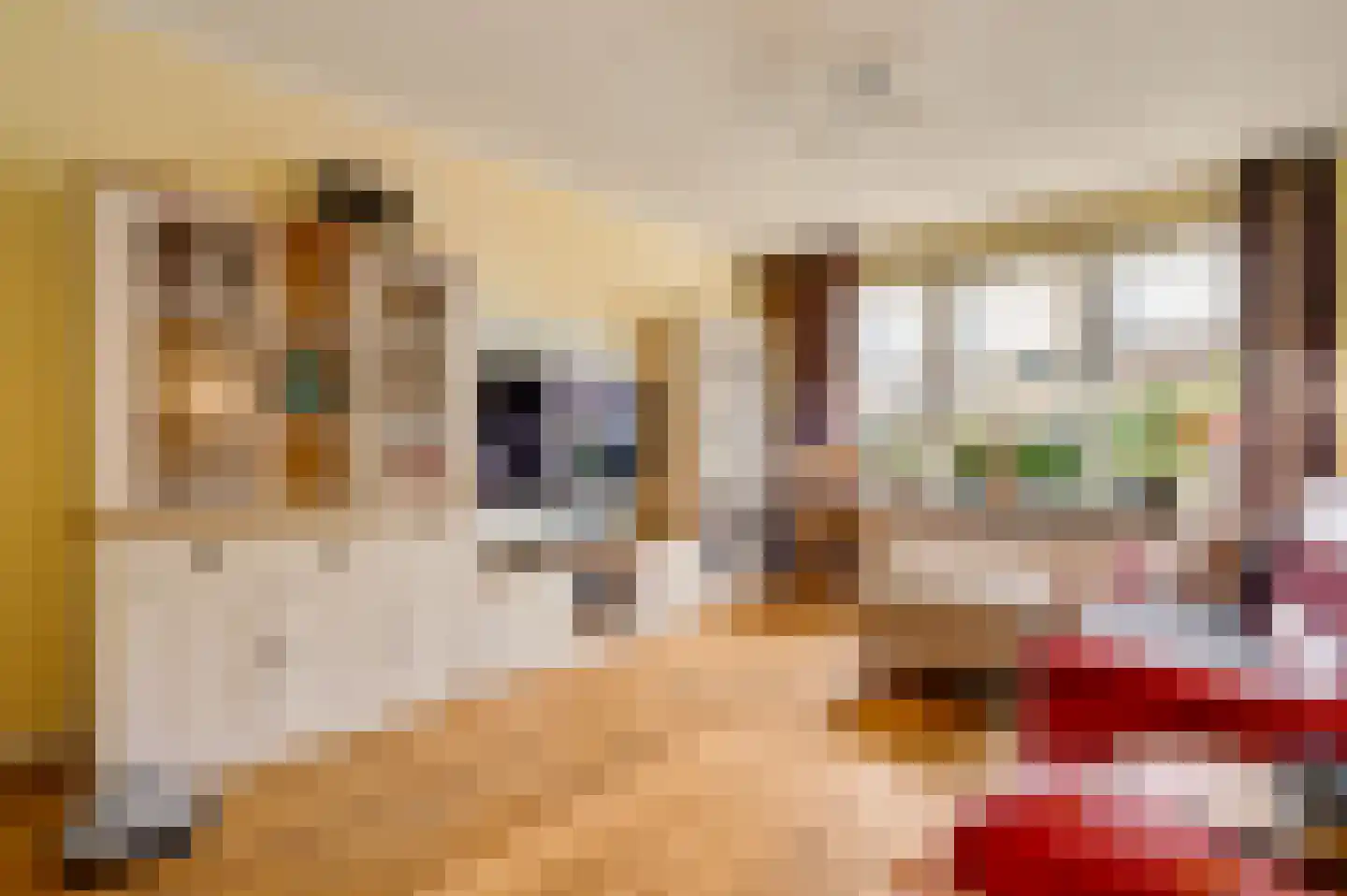 van Loonstraat 10 Haelen thumbnail 10