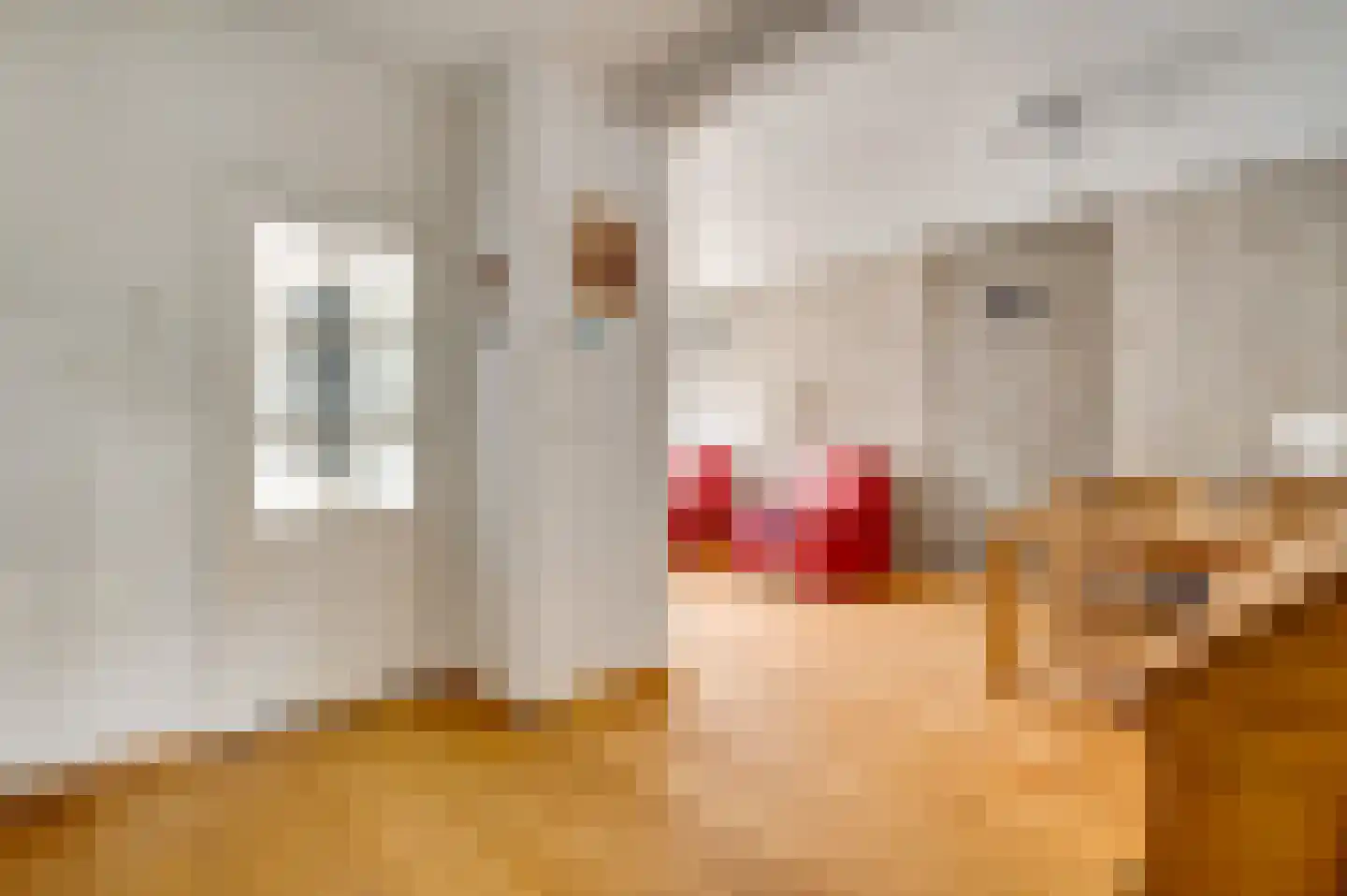 van Loonstraat 10 Haelen thumbnail 12
