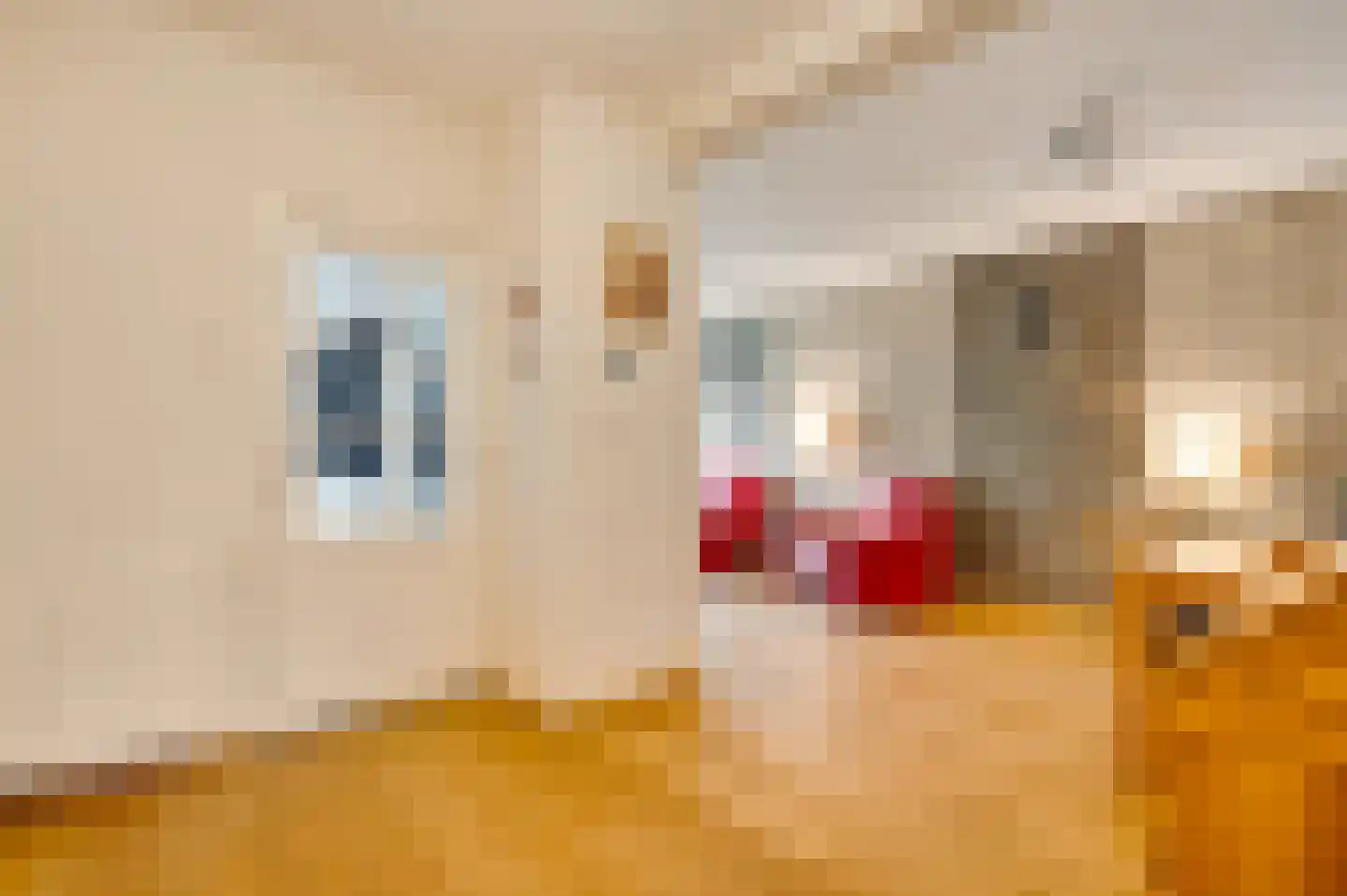 van Loonstraat 10 Haelen thumbnail 12