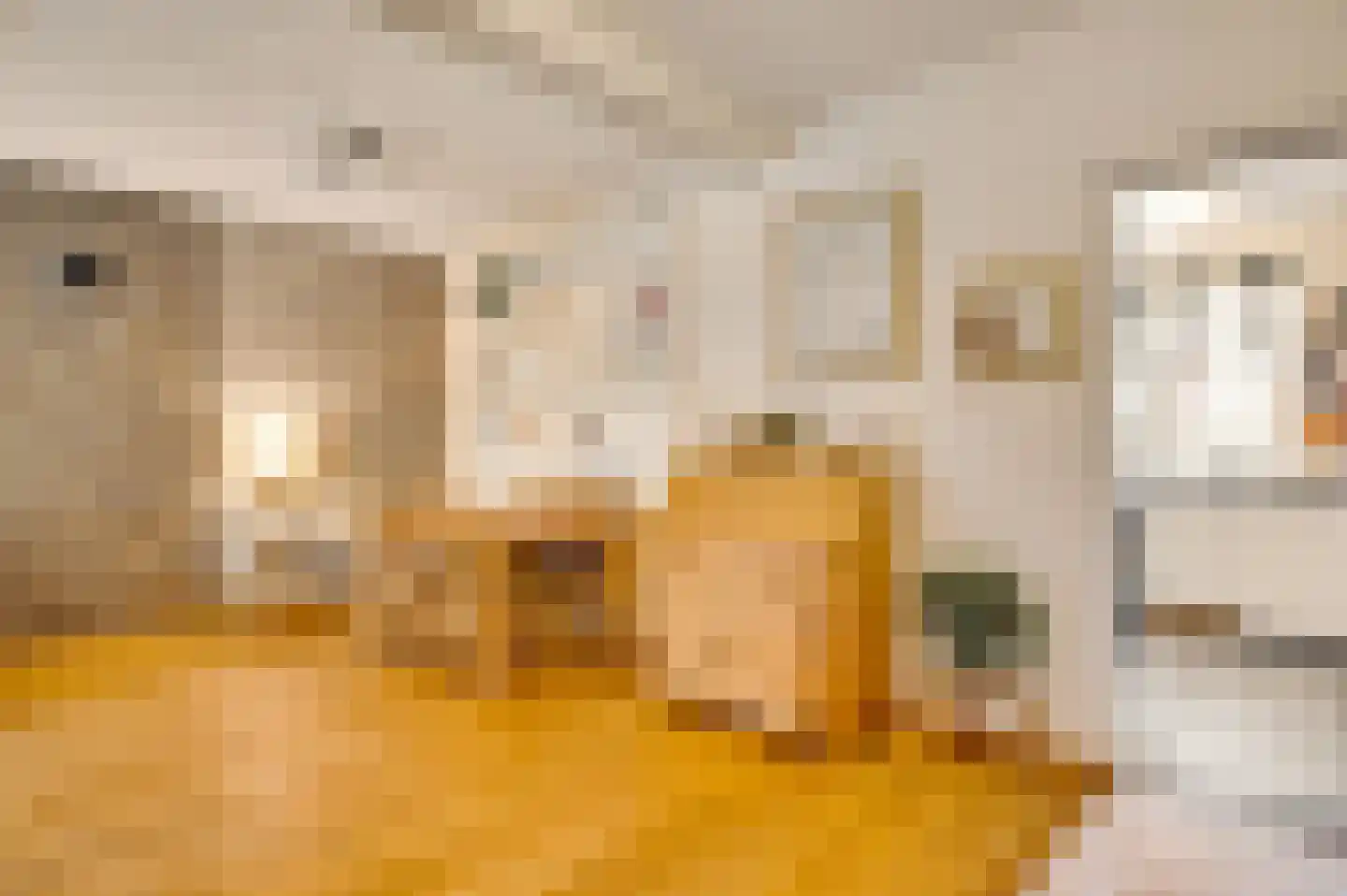 van Loonstraat 10 Haelen thumbnail 13