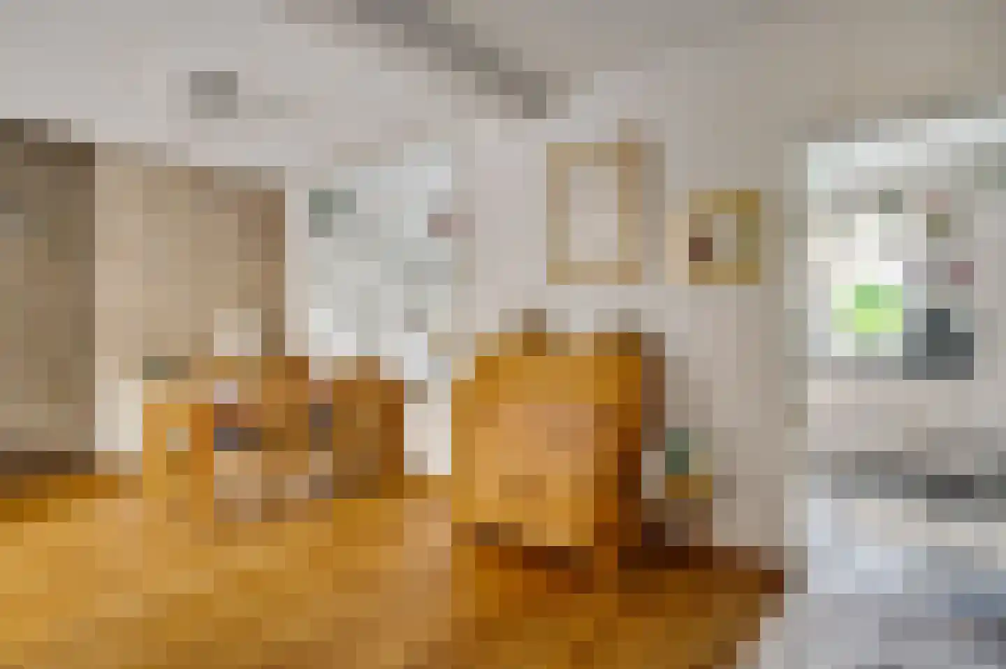 van Loonstraat 10 Haelen thumbnail 13