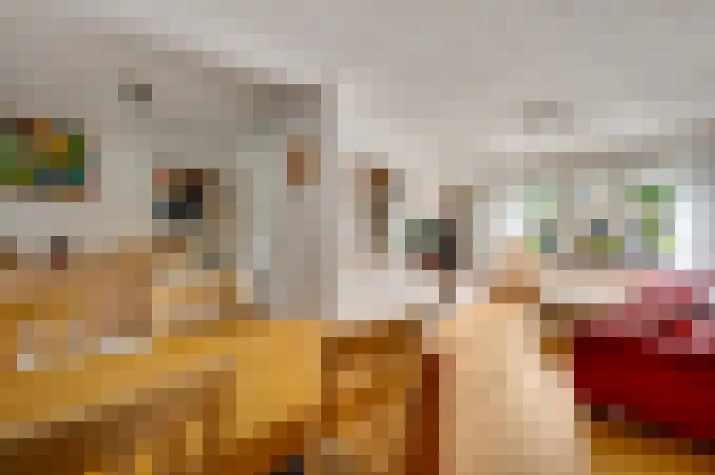 van Loonstraat 10 Haelen thumbnail 14