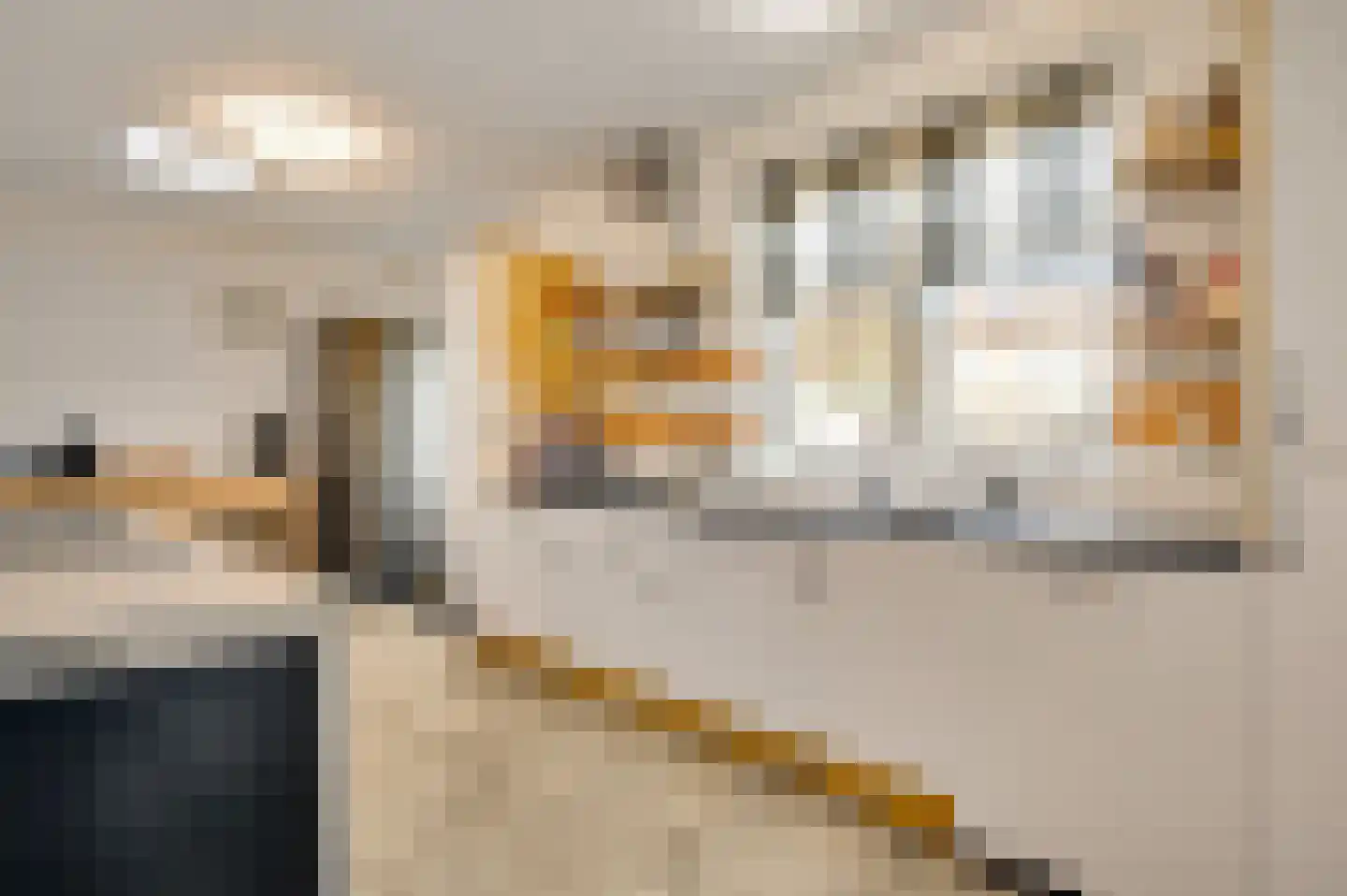van Loonstraat 10 Haelen thumbnail 15