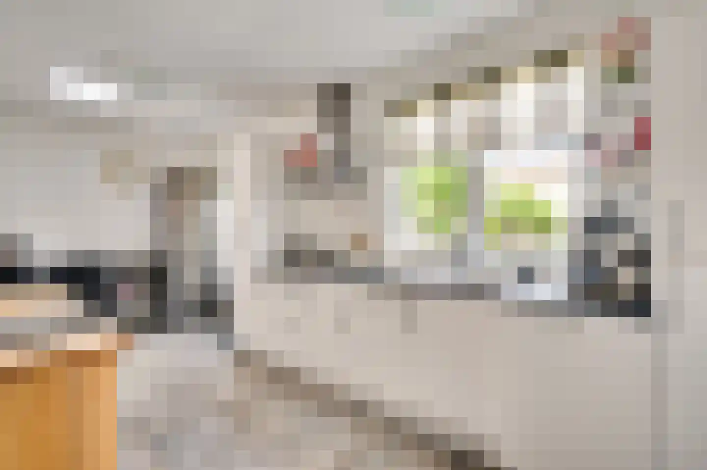 van Loonstraat 10 Haelen thumbnail 15