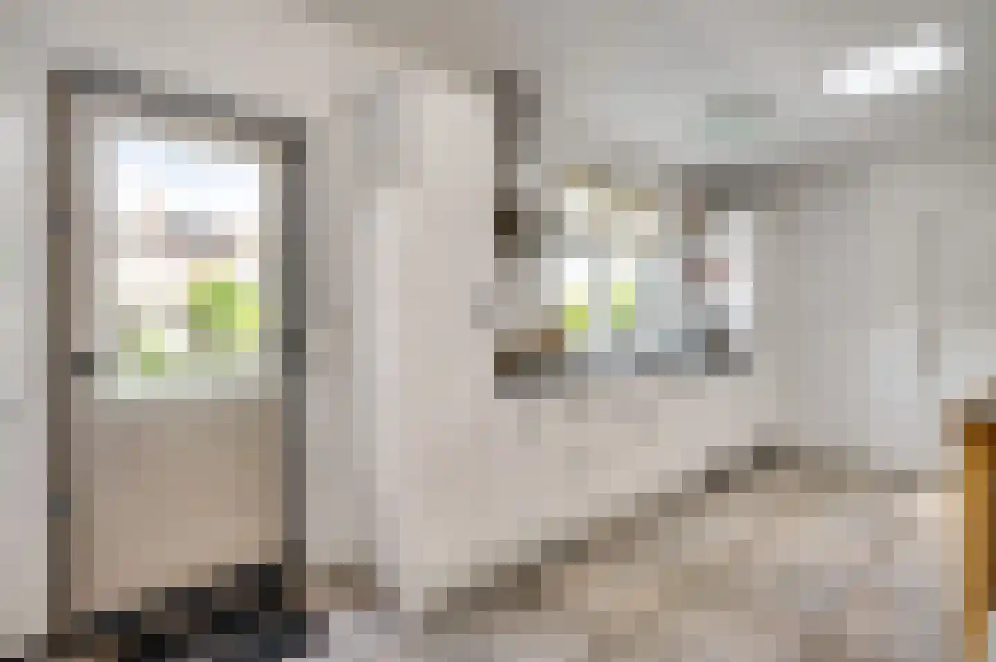 van Loonstraat 10 Haelen thumbnail 16