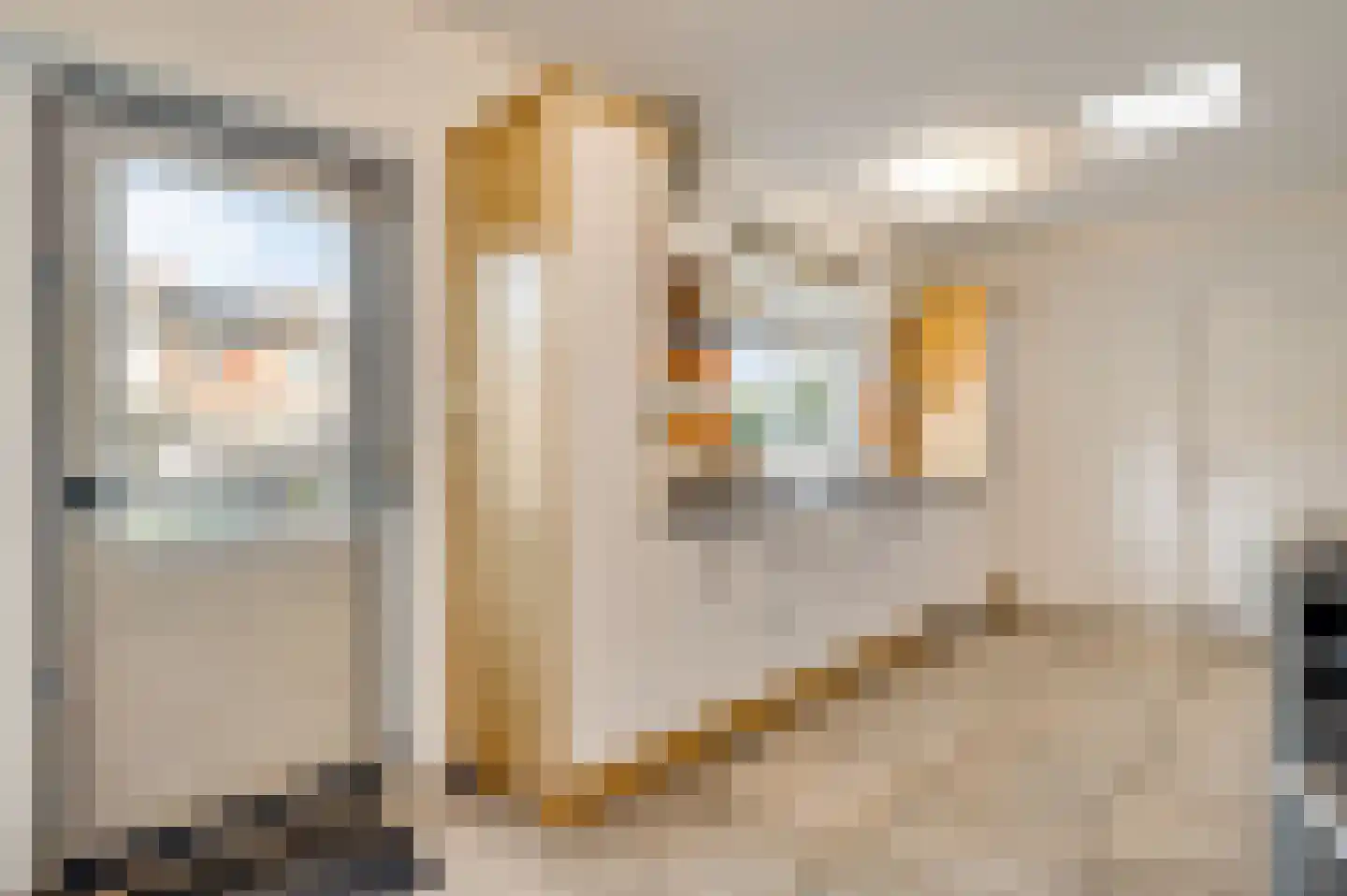 van Loonstraat 10 Haelen thumbnail 16