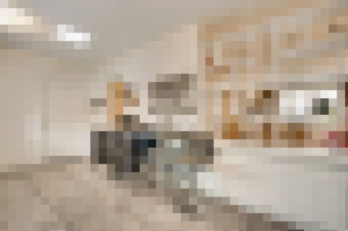 van Loonstraat 10 Haelen thumbnail 17